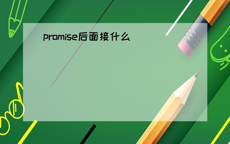 promise后面接什么