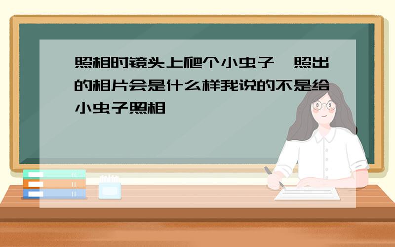 照相时镜头上爬个小虫子,照出的相片会是什么样我说的不是给小虫子照相