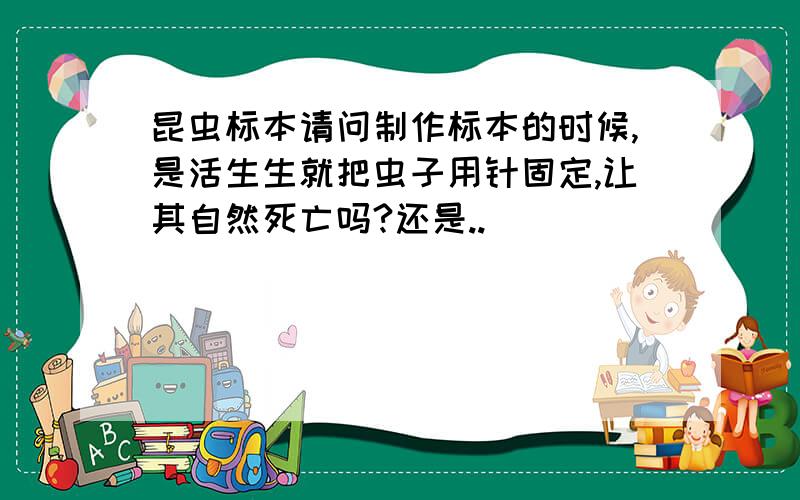 昆虫标本请问制作标本的时候,是活生生就把虫子用针固定,让其自然死亡吗?还是..