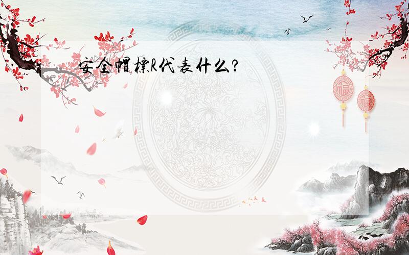 安全帽标R代表什么?