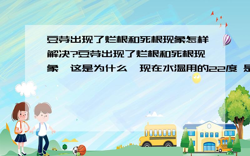 豆芽出现了烂根和死根现象怎样解决?豆芽出现了烂根和死根现象,这是为什么,现在水温用的22度 是不是因为温度过低呢?或者是其他什么原因.还有豆子在泡好以后要多长时间淋一次呢,淋的水