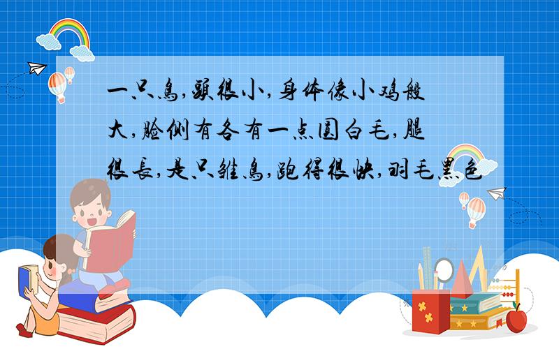 一只鸟,头很小,身体像小鸡般大,脸侧有各有一点圆白毛,腿很长,是只雏鸟,跑得很快,羽毛黑色