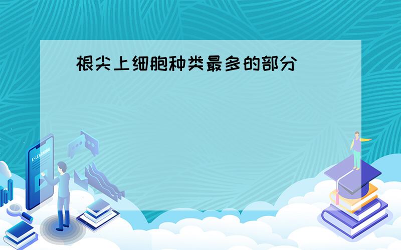 根尖上细胞种类最多的部分