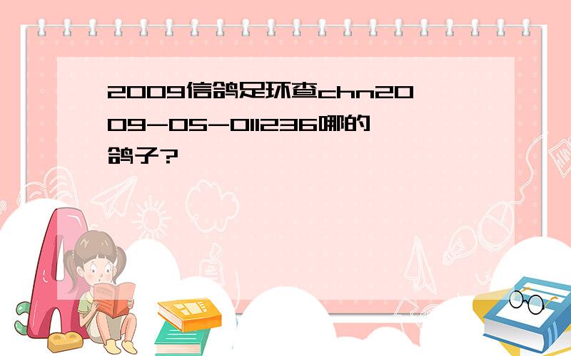 2009信鸽足环查chn2009-05-011236哪的鸽子?