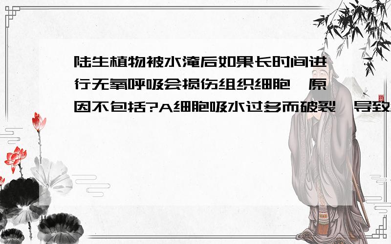 陆生植物被水淹后如果长时间进行无氧呼吸会损伤组织细胞,原因不包括?A细胞吸水过多而破裂,导致细胞结构改变B缺少某些中间产物,阻碍某些物质的合成