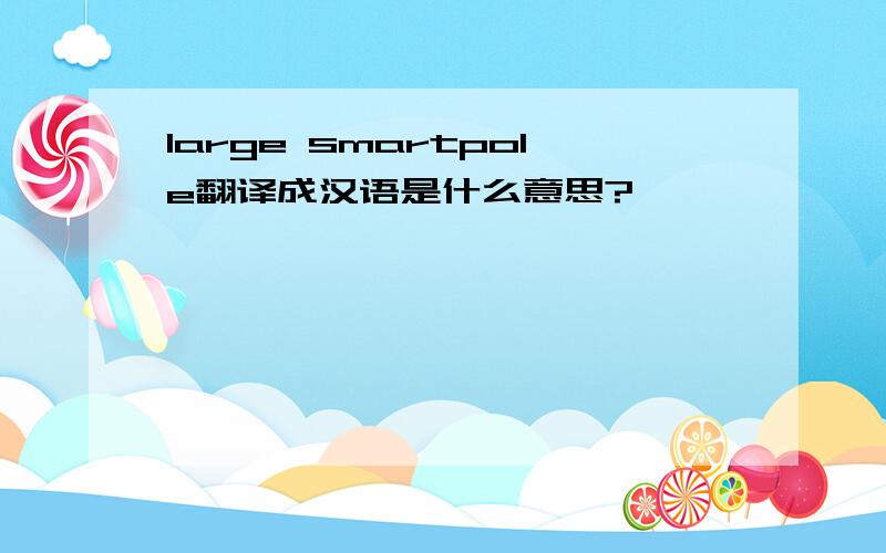 large smartpole翻译成汉语是什么意思?
