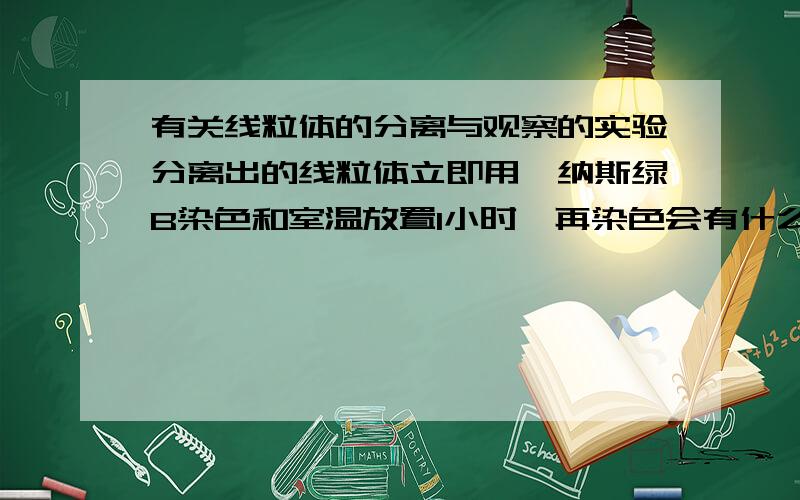 有关线粒体的分离与观察的实验分离出的线粒体立即用詹纳斯绿B染色和室温放置1小时,再染色会有什么差异?为什么?