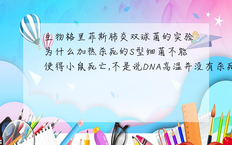 生物格里菲斯肺炎双球菌的实验为什么加热杀死的S型细菌不能使得小鼠死亡,不是说DNA高温并没有杀死,低温会恢复活性吗,如果加热杀死的S型细菌的DNA也被杀死了,那么加入活的R性细菌后,为