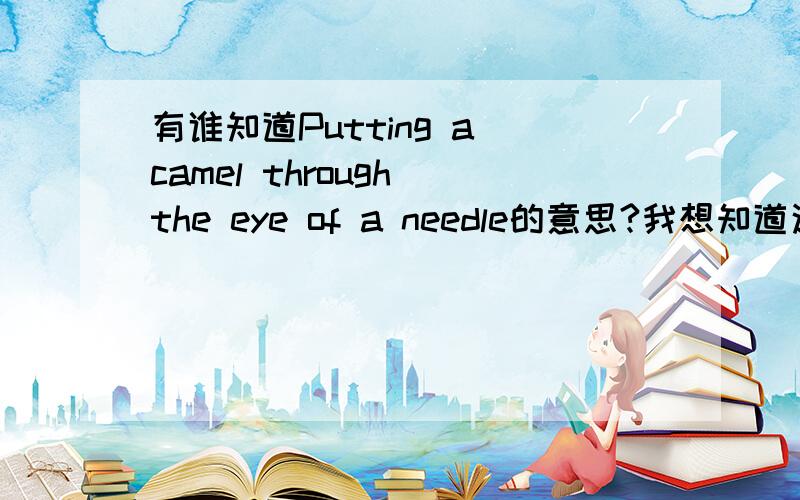 有谁知道Putting a camel through the eye of a needle的意思?我想知道这个proverb的意思,中文意思英文意思都可以.