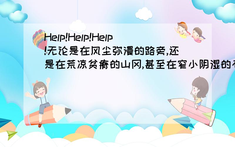 Help!Help!Help!无论是在风尘弥漫的路旁,还是在荒凉贫瘠的山冈,甚至在窄小阴湿的石缝里,你都能看见它的身影,它是春的使者,也是新的开始.春寒料峭,它便无声地从大地母亲的怀抱中探出头来,