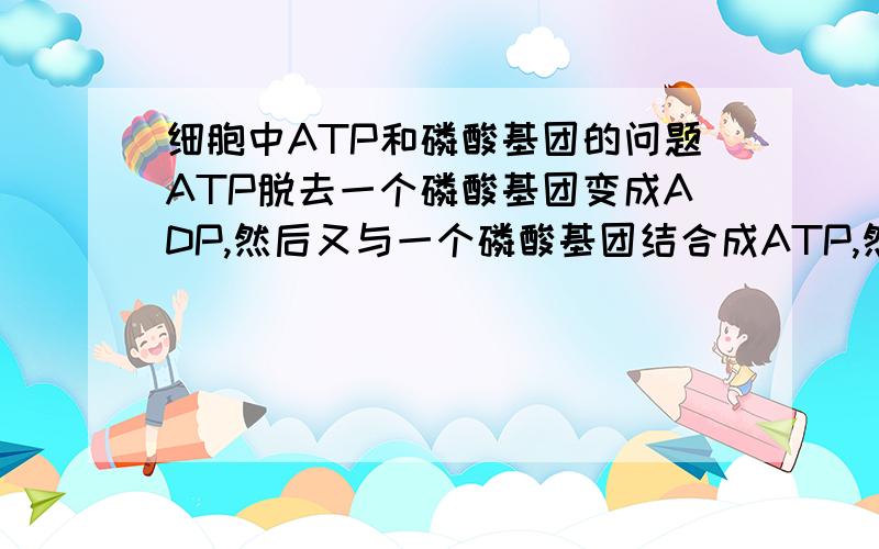 细胞中ATP和磷酸基团的问题ATP脱去一个磷酸基团变成ADP,然后又与一个磷酸基团结合成ATP,然而,前后两个磷酸基团不是相同的,后者是RNA等分解得到的,那前者与ATP分离后去哪了?