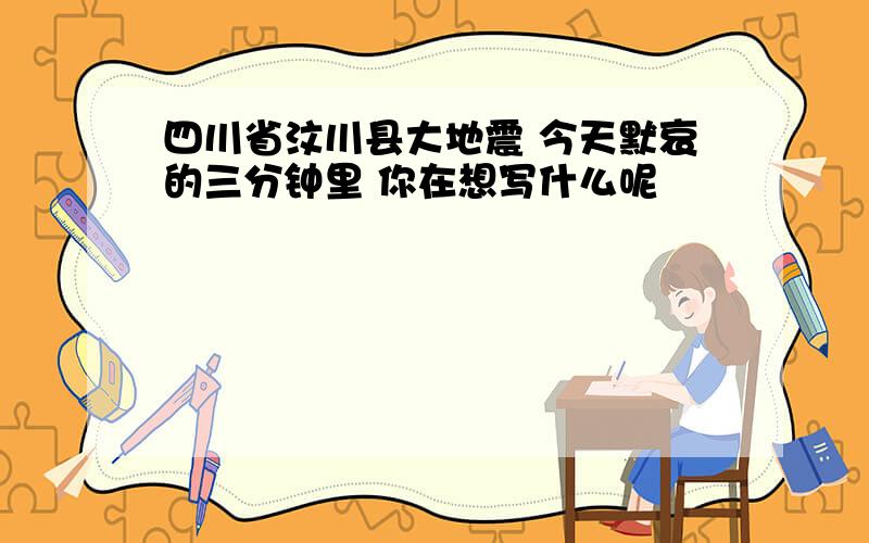 四川省汶川县大地震 今天默哀的三分钟里 你在想写什么呢