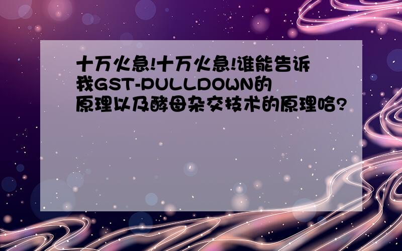 十万火急!十万火急!谁能告诉我GST-PULLDOWN的原理以及酵母杂交技术的原理哈?