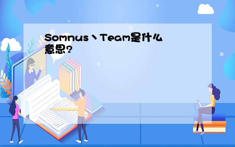 Somnus丶Team是什么意思?