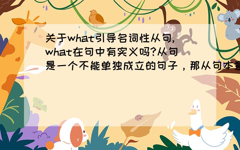 关于what引导名词性从句,what在句中有实义吗?从句是一个不能单独成立的句子，那从句本意是只做修饰句吗？