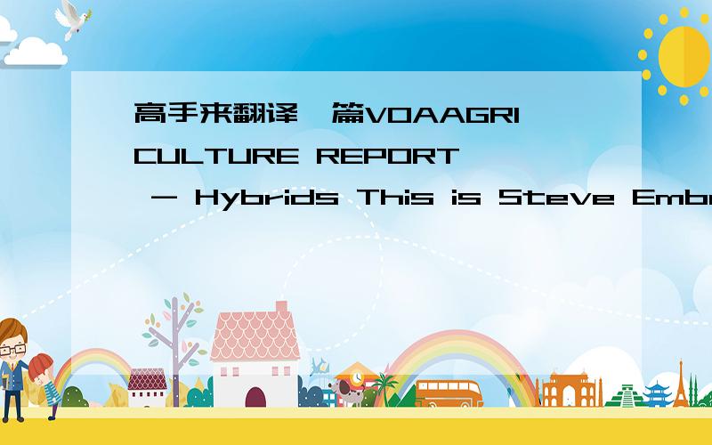 高手来翻译一篇VOAAGRICULTURE REPORT - Hybrids This is Steve Ember with the VOA Special English Agriculture Report. Since ancient times, farmers have chosen the seeds for the coming year from the biggest and best plants in their crop. The hope