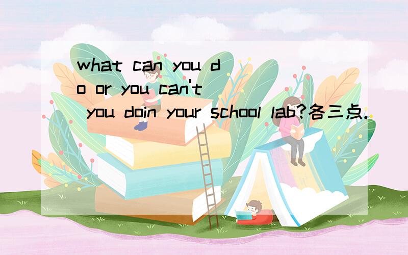 what can you do or you can't you doin your school lab?各三点.