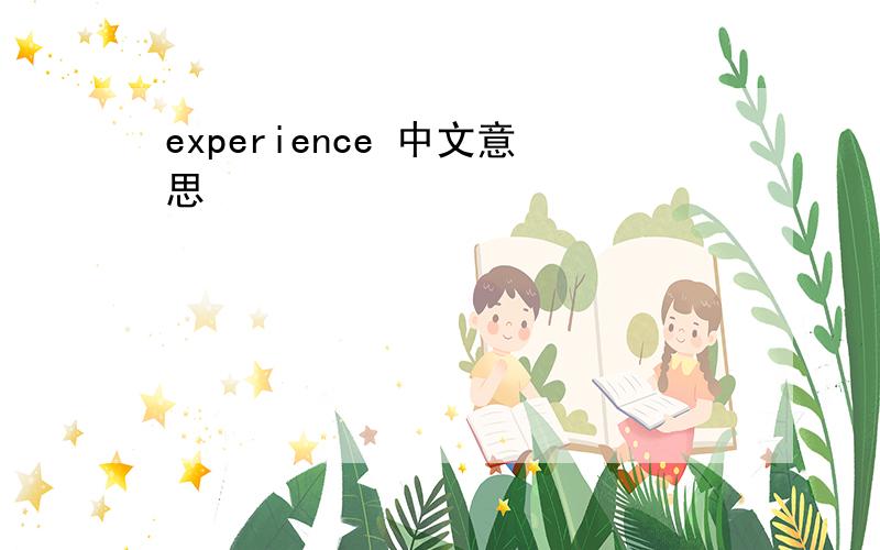 experience 中文意思