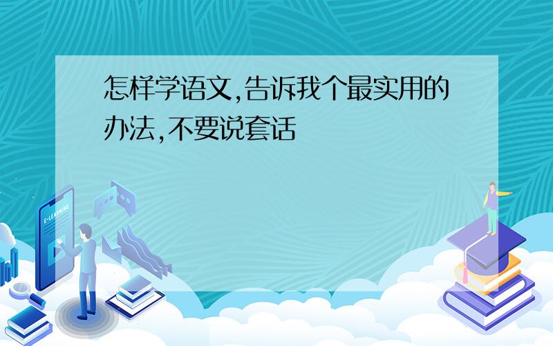 怎样学语文,告诉我个最实用的办法,不要说套话