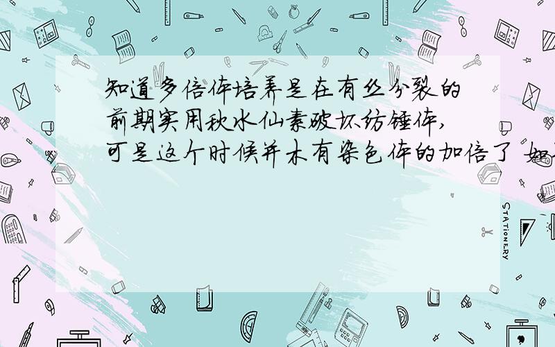 知道多倍体培养是在有丝分裂的前期实用秋水仙素破坏纺锤体,可是这个时候并木有染色体的加倍了 如果说后知道多倍体培养是在有丝分裂的前期实用秋水仙素破坏纺锤体,可是这个时候并木