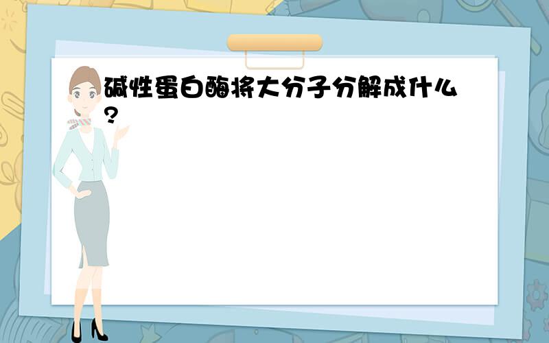 碱性蛋白酶将大分子分解成什么?