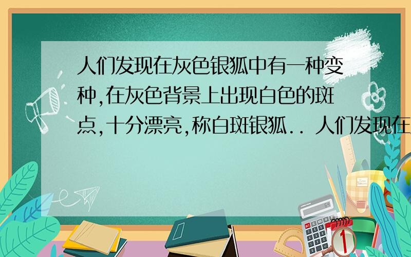 人们发现在灰色银狐中有一种变种,在灰色背景上出现白色的斑点,十分漂亮,称白斑银狐.．人们发现在灰色银狐中有一种变种,在灰色背景上出现白色的斑点,十分漂亮,称白斑银狐.让白斑银狐