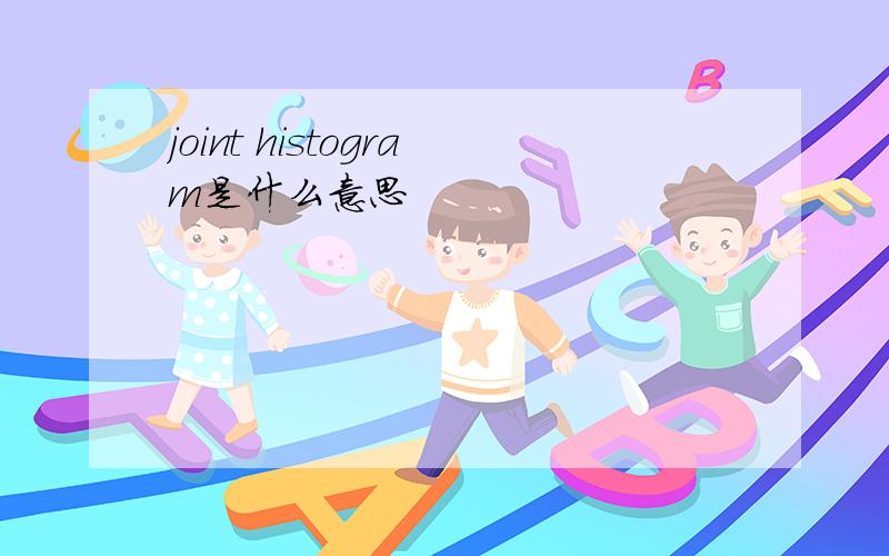 joint histogram是什么意思