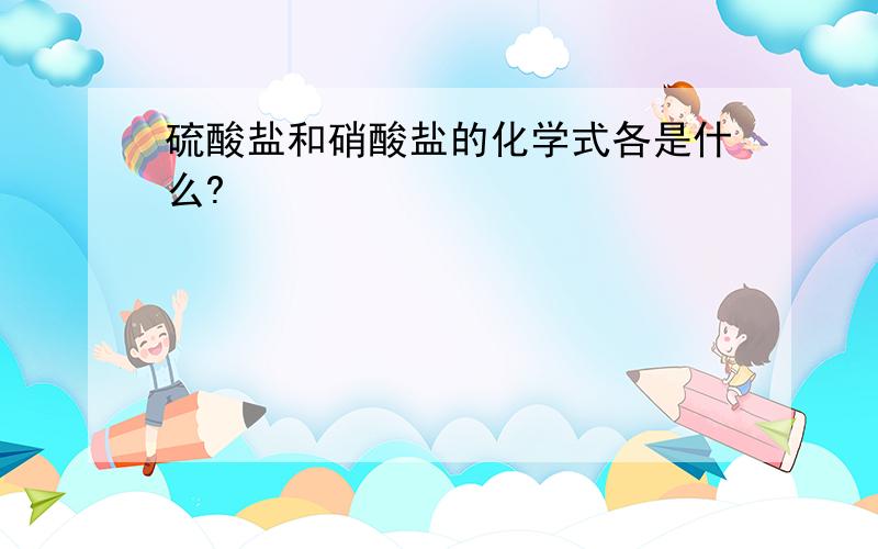 硫酸盐和硝酸盐的化学式各是什么?