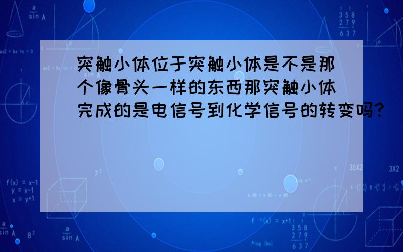 突触小体位于突触小体是不是那个像骨头一样的东西那突触小体完成的是电信号到化学信号的转变吗?