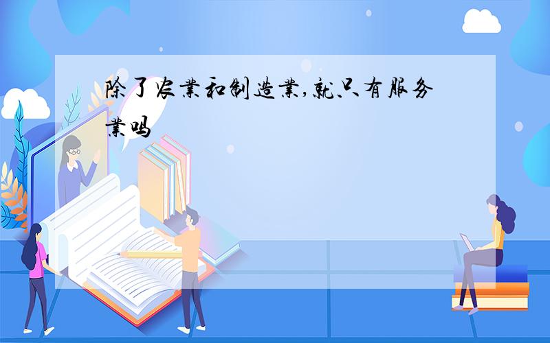 除了农业和制造业,就只有服务业吗