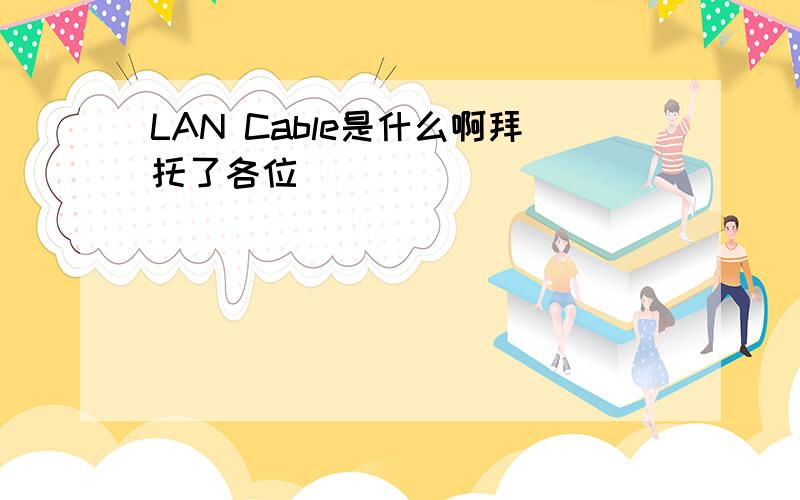 LAN Cable是什么啊拜托了各位