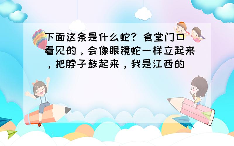 下面这条是什么蛇? 食堂门口看见的，会像眼镜蛇一样立起来，把脖子鼓起来，我是江西的