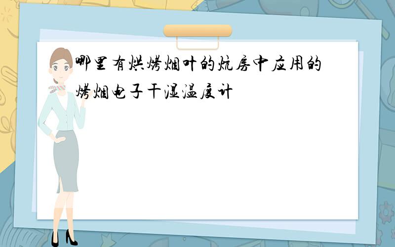 哪里有烘烤烟叶的炕房中应用的烤烟电子干湿温度计