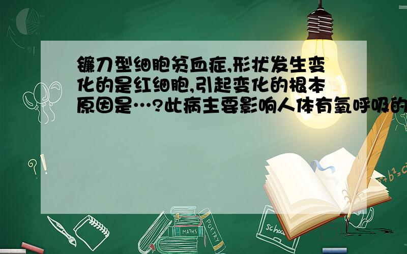 镰刀型细胞贫血症,形状发生变化的是红细胞,引起变化的根本原因是…?此病主要影响人体有氧呼吸的第几阶段?