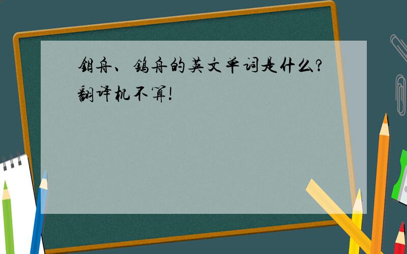 钼舟、钨舟的英文单词是什么?翻译机不算!