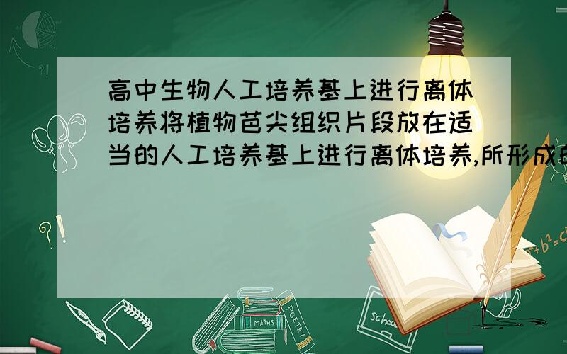 高中生物人工培养基上进行离体培养将植物芭尖组织片段放在适当的人工培养基上进行离体培养,所形成的新的组织称为()A,营养组织B,愈伤组织C,分生组织D,保护组织