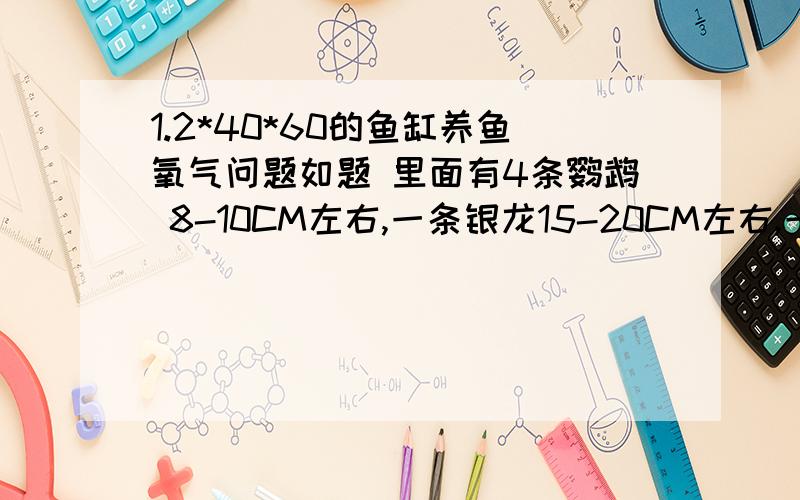 1.2*40*60的鱼缸养鱼氧气问题如题 里面有4条鹦鹉 8-10CM左右,一条银龙15-20CM左右,一个地图15CM左右.一个招财猫20CM 一个战船鱼20CM 请问要24小时打氧气吗?我鱼缸一个上虑,三合一那种,还有一个外