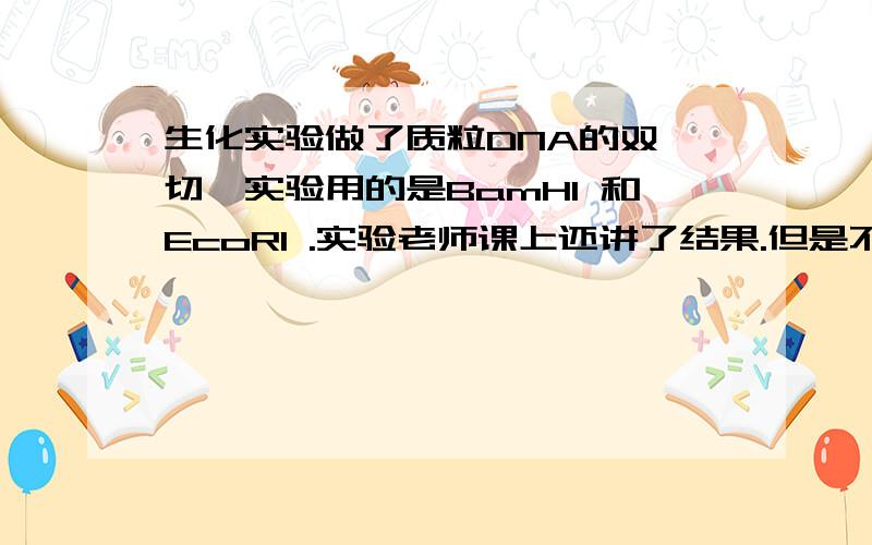 生化实验做了质粒DNA的双酶切,实验用的是BamH1 和EcoR1 .实验老师课上还讲了结果.但是不让拷ppt.我们做出来的图好像有三条带子.想知道那三条分别是什么?有一个700多bp,