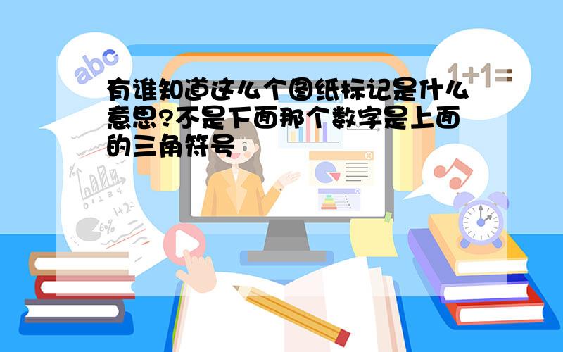 有谁知道这么个图纸标记是什么意思?不是下面那个数字是上面的三角符号