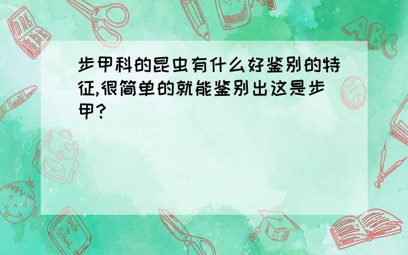 步甲科的昆虫有什么好鉴别的特征,很简单的就能鉴别出这是步甲?