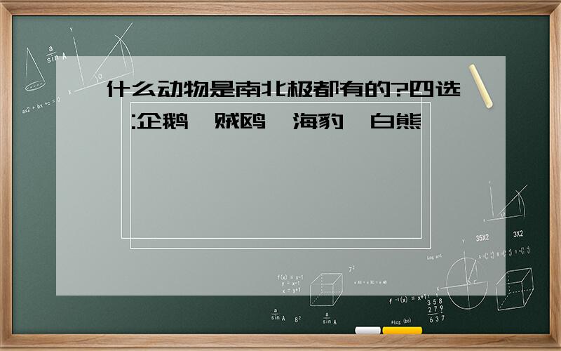 什么动物是南北极都有的?四选一:企鹅,贼鸥,海豹,白熊