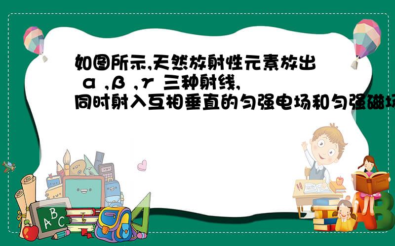 如图所示,天然放射性元素放出 α ,β ,γ 三种射线,同时射入互相垂直的匀强电场和匀强磁场中,如图所示,天然放射性元素放出 α 、 β 、 γ 三种射线,同时射入互相垂直的匀强电场和匀强磁场