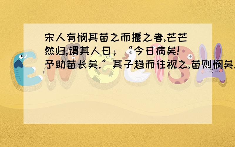 宋人有悯其苗之而揠之者,芒芒然归,谓其人曰；“今日病矣!予助苗长矣.”其子趋而往视之,苗则悯矣.翻翻译成现代话,要比较短的.