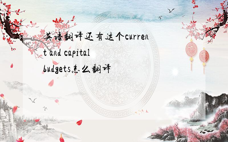 英语翻译还有这个current and capital budgets怎么翻译