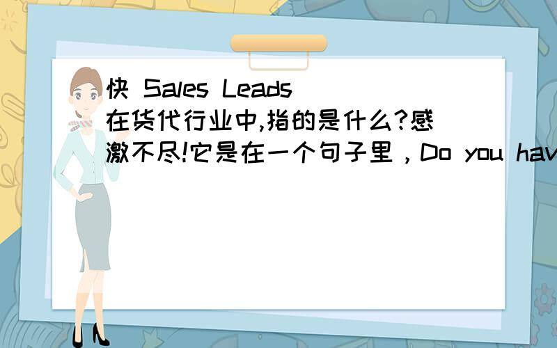 快 Sales Leads 在货代行业中,指的是什么?感激不尽!它是在一个句子里，Do you have any problem to follow up our sales leads?是说销售方案之类的么?前几天经历给讲过,好像不是这个,记不起来了.