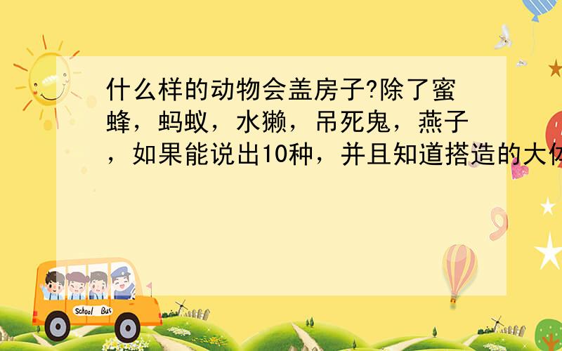 什么样的动物会盖房子?除了蜜蜂，蚂蚁，水獭，吊死鬼，燕子，如果能说出10种，并且知道搭造的大体模样、、、、、追加250分！具体点啊