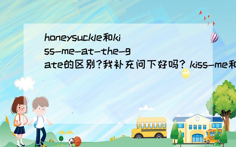 honeysuckle和kiss-me-at-the-gate的区别?我补充问下好吗？kiss-me和kiss-me-quick是一样的意思吗？我怎么记得是两种不同的花~