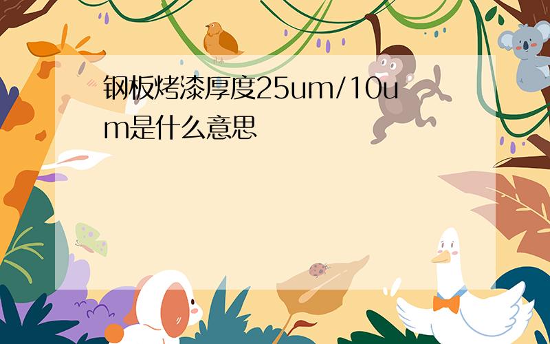 钢板烤漆厚度25um/10um是什么意思