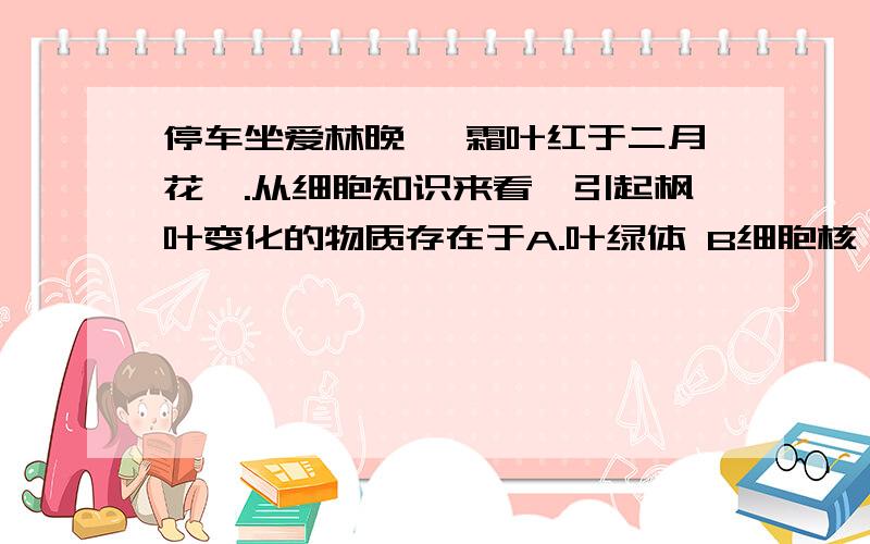 停车坐爱林晚 ,霜叶红于二月花,.从细胞知识来看,引起枫叶变化的物质存在于A.叶绿体 B细胞核 C.细胞质 D.细胞壁在设计对照实验中，我们应注意的问题是A所有的变量都相同、 B 所有变量都不