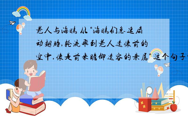 老人与海鸥 从“海鸥们急速扇动翅膀,轮流飞到老人遗像前的空中,像是前来瞻仰遗容的亲属”这个句子中,我们可以体会到（ ）.从“急速”一词,我们感受到了海鸥（ ）.从“瞻仰”一词可以